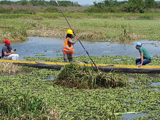 Inversión alcanza los $800 millones. <br />CRA AVANZA EN RECUPERACIÓN DEL COMPLEJO DE HUMEDALES DE MALAMBO Y PALMAR DE VARELA. - Corporación Autónoma Regional del Atlántico | C.R.A - CRA AVANZA EN RECUPERACIÓN DEL COMPLEJO DE HUMEDALES DE MALAMBO Y PALMAR DE VARELA." alt="Inversión alcanza los $800 millones. CRA AVANZA EN RECUPERACIÓN DEL COMPLEJO DE HUMEDALES DE MALAMBO Y PALMAR DE VARELA.">*&nbsp;Se intervienen ciénaga de Malambo. Además Caño Luisa y Caño Tigre en Palmar de Varela.* Actualmente los trabajos avanzan en un 70%. &nbsp;&nbsp;Con el fin de garantizar la sostenibilidad del complejo de humedales de la vertiente occidental del Río Magdalena, la Corporación Autónoma Regional del Atlántico, avanza en la rectificación, nivelación y recuperación ambiental del Caño de interconexión entre la Ciénaga del convento y la ciénaga de Malambo, los cuales impiden el correcto funcionamiento hidráulico y reducen la capacidad de almacenamiento de este ecosistema.&nbsp;En Malambo, las obras representan una inversión de $170 millones y consisten específicamente en retirar 2.657 M3 del caño que interconecta el sistema, como medida para reducir los efectos de los cambios que produce la variabilidad climática, que afectan actualmente todo el sistema hídrico que integra el Complejo de humedales del Río Magdalena y recuperar ambientalmente la flora y fauna de dicho ecosistema.&nbsp;Para ejecutar estas obras, la Corporación priorizó zonas vulnerables de cada municipio en 12.000 metros lineales para intervenir con limpieza, canalización, diques de protección y muros de contención, con inversiones que están encaminadas a la planificación territorial y obras civiles para la mitigación de este riesgo en zonas identificadas.&nbsp;En este sentido, se evidenció también la necesidad de realizar la rectificación, retiro de sedimentos y mantenimiento para recuperar la capacidad de drenaje de Caño Tigre y Caño Luisa, en el municipio de Palmar de Varela, que permitirá mejorar la interconexión hídrica con el Rio Magdalena y los complejos de humedales existentes en esta zona. En Tigre se extraen 2.787 m3 de sedimentos y en Luisa otros 4.100 m3 de sedimentos. Ambas obras suman una inversión de $538 millones.&nbsp;La CRA ejecuta estos trabajos en cumplimiento de su Plan de Acción 2012 – 2015, contempladas en el programa Gestión para la Prevención del Riesgo, a través del cual se trabaja para la reducción de la vulnerabilidad ante eventos de inundación y remoción en masa.&nbsp;&nbsp;Cabe resaltar, que en los mapas del departamento del Atlántico se observa que la zona de mayor susceptibilidad es el sur del departamento debido a su topografía, su cercanía con el río Magdalena y el Canal del Dique. En municipios como Malambo y Palmar de Varela, se observa que los riesgos de inundación están ligados a los arroyos y escorrentías superficiales que los afectan en temporadas de lluvias.&nbsp;Alberto Escolar, director de la CRA señaló que “durante los últimos años el Atlántico no ha sido ajeno al cambio climático, &nbsp;pasando primero por un Fenómeno de la Niña, el cual trajo consigo desastres e inundaciones, remociones en masa y erosión de suelos y actualmente enfrenta la llegada del fenómeno del Niño, con escasez de agua que incide directamente en los incendios forestales y desabastecimiento del recurso hídrico”, reiterando el compromiso de la CRA en continuar implementando acciones de mitigación a los efectos que se han generado.