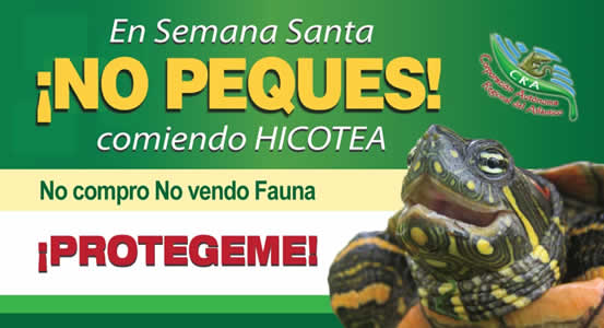 CRA incrementa operativos de control<br /> En Semana Santa, No Peques Comiendo Hicotea! - Corporación Autónoma Regional del Atlántico | C.R.A - En Semana Santa, No Peques Comiendo Hicotea!" alt="CRA incrementa operativos de control En Semana Santa, No Peques Comiendo Hicotea!" style="background-color: rgb(239, 244, 244);">Durante la temporada previa a la Semana Santa, &nbsp;cada año las poblaciones de la costa Caribe y especialmente en el Atlántico, se ven afectadas &nbsp;por el comercio ilegal de huevos y carne de la especie &nbsp;Hicotea (Trachemys scripta callirostris), que en numerosos casos pueden causar intoxicación.&nbsp;Para prevenir esta práctica ilegal, la Corporación Autónoma Regional del Atlántico, C.R.A, como autoridad ambiental departamental &nbsp;ha venido desarrollando &nbsp;una &nbsp;serie de acciones, que buscan preservar la especie Hicotea y otras especies de la fauna silvestre en el Departamento. Sin embargo, se ha constatado la falta de desove o postura de estas especies en su hábitat natural; debido entre otras causas, a la caza indiscriminada para el consumo de su carne y huevos.&nbsp;Con el fin de evitar la extinción de las especie de fauna y teniendo en cuenta que &nbsp;se acerca la época de desove, período en el &nbsp;que &nbsp;el ejemplar &nbsp;es más &nbsp;indefenso &nbsp;y presa &nbsp;fácil de captura en forma &nbsp;masiva, la CRA, viene adelantando operativos de control y vigilancia, para prevenir &nbsp;la captura, comercialización y consumo de estos ejemplares. Así mismo, estos operativos se intensificarán durante los días de la Semana Santa, con el apoyo de la Policía Ambiental del Departamento. &nbsp;&nbsp;La Corporación, también ha habilitado una línea 0180001110102, &nbsp;en el que se recibirán &nbsp;denuncias que permita reaccionar oportunamente y contribuir en la protección de la fauna y flora silvestre, por lo tanto el director de la Entidad, Alberto Escolar Vega, invitó a la comunidad en general para que apoyen no solo denunciando este tipo de actos que atentan contra la naturaleza, sino absteniéndose de comprar huevos o carne de Hicotea u otras especies.