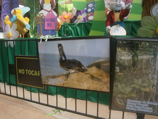 Exposición fotográfica sobre Ciénaga de Mallorquín‏
