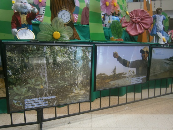Exposición fotográfica sobre Ciénaga de Mallorquín‏