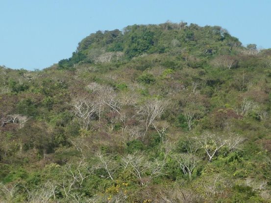 ATLÁNTICO, MODELO DE GESTIÓN PARA LA REGIÓN CARIBE EN CONSERVACIÓN DE ECOSISTEMAS ATLÁNTICO, MODELO DE GESTIÓN PARA LA REGIÓN CARIBE EN CONSERVACIÓN DE ECOSISTEMAS