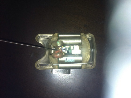 “SEGÚN UNIVERSIDAD DE FLORIDA, TORTUGA MARINA FUE MARCADA EN PANAMÁ”: CRA