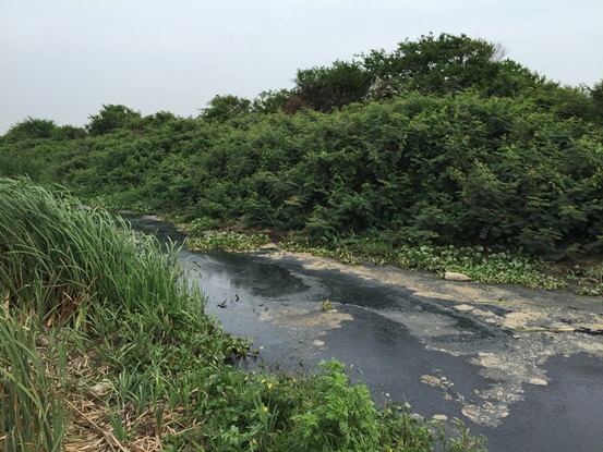 CRA ADOPTA MEDIDAS POR CONTAMINACIÓN EN MESOLANDIA