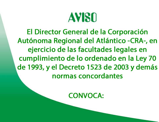 PROCESO DE ELECCIÓN DE LOS REPRESENTANTES DE LAS COMUNIDADES NEGRAS ANTE EL CONSEJO DIRECTIVO DE LA C.R.A