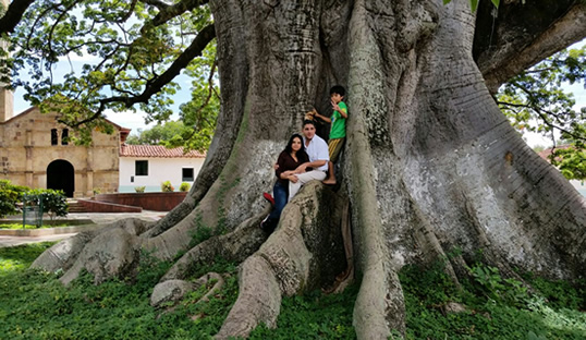 12 de Octubre: Día Internacional del Árbol