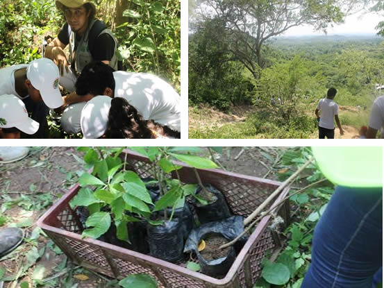 CRA REALIZA JORNADA PEDAGÓGICA CON 40 JÓVENES DE LA RED DE AMBIENTE EN LURIZA