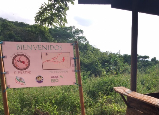 CRA AVANZA EN LA SEGUNDA FASE DE ADMINISTRACIÓN DEL ÁREA PROTEGIDA “EL PALOMAR”, EN PIOJÓ.