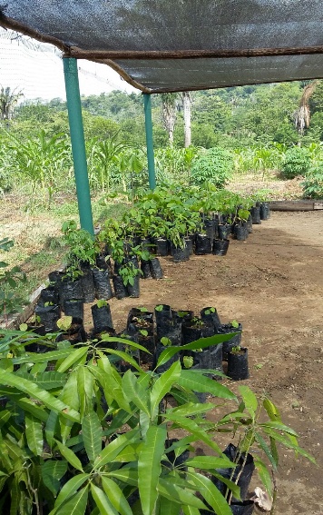 CRA AVANZA EN LA SEGUNDA FASE DE ADMINISTRACIÓN DEL ÁREA PROTEGIDA  “EL PALOMAR”, EN PIOJÓ.