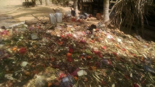 CON SUMINISTRO DE ALIMENTOS, CRA BUSCA MINIMIZAR IMPACTO DE SEQUÍA EN FAUNA DEL ATLÁNTICO CON SUMINISTRO DE ALIMENTOS, CRA BUSCA MINIMIZAR IMPACTO DE SEQUÍA EN FAUNA DEL ATLÁNTICO