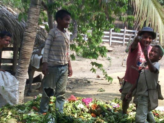 CON SUMINISTRO DE ALIMENTOS, CRA BUSCA MINIMIZAR IMPACTO DE SEQUÍA EN FAUNA DEL ATLÁNTICO CON SUMINISTRO DE ALIMENTOS, CRA BUSCA MINIMIZAR IMPACTO DE SEQUÍA EN FAUNA DEL ATLÁNTICO