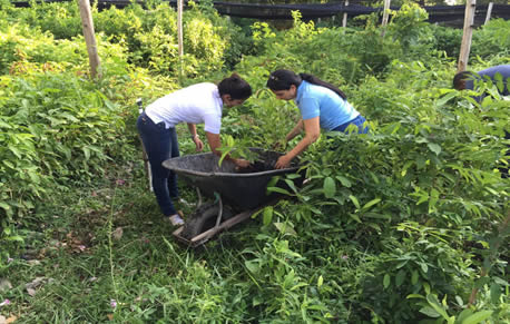 DÍA INTERNACIONAL DE LA TIERRA