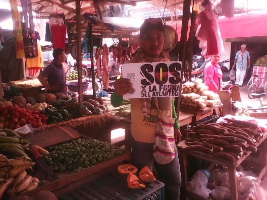 EN MERCADO PÚBLICO, CRA Y UNDECO RECOLECTARON ALIMENTOS PARA FAUNA DEL ATLÁNTICO