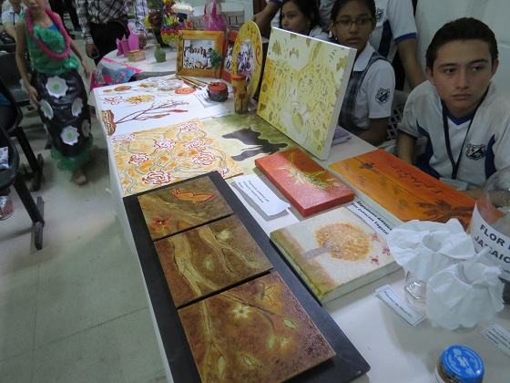 CRA y empresa privada Lanzan  II Versión de “PREMIO AMBIENTAL GEMAS”.