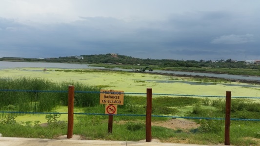 DRAGADO DE SEDIMENTOS EN EL CISNE CONTRIBUYE A RECUPERAR ECOSISTEMA, INDICA ESTUDIO DE UNIATLÁNTICO