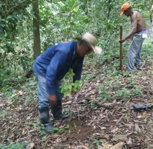 MEDIDAS DE ADAPTACIÓN AL CAMBIO CLIMÁTICO PROMUEVE C.R.A EN REPELÓN Y SABANALARGA