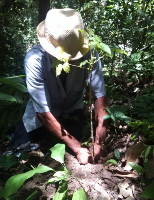 MEDIDAS DE ADAPTACIÓN AL CAMBIO CLIMÁTICO PROMUEVE C.R.A EN REPELÓN Y SABANALARGA