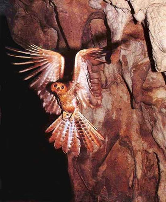 El 9 de noviembre DIA DE LOS PARQUES NACIONALES NATURALES DE COLOMBIA