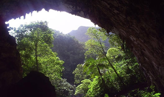 El 9 de noviembre DIA DE LOS PARQUES NACIONALES NATURALES DE COLOMBIA 