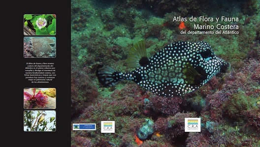 ATLAS DE FLORA Y FAUNA MARINO COSTERA, LA NUEVA PUBLICACIÓN DE LA C.R.A