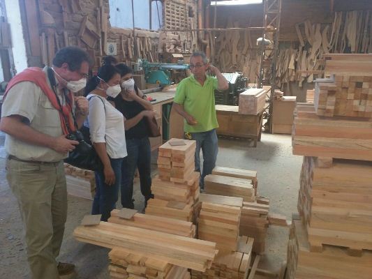 POSITIVOS RESULTADOS PARA LA CONSOLIDACIÓN DE GOBERNANZA FORESTAL EN COLOMBIA