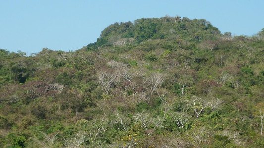 La Región Caribe cumpliendo con las metas de conservación a nivel mundial La Región Caribe cumpliendo con las metas de conservación a nivel mundial
