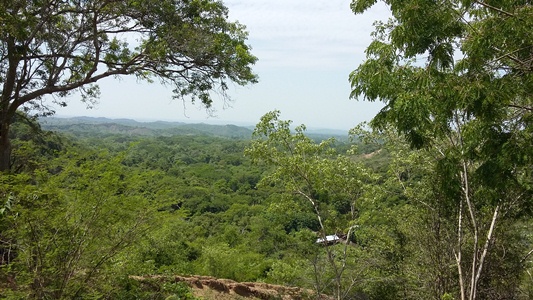 Gestión de áreas protegidas en Atlántico es reconocida como exitosa en la región Caribe.