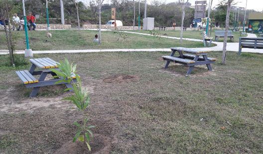 Con siembra de 140 árboles en el Parque Mirador El Cisne, C.R.A cerró actividades en el marco del día de la tierra. 