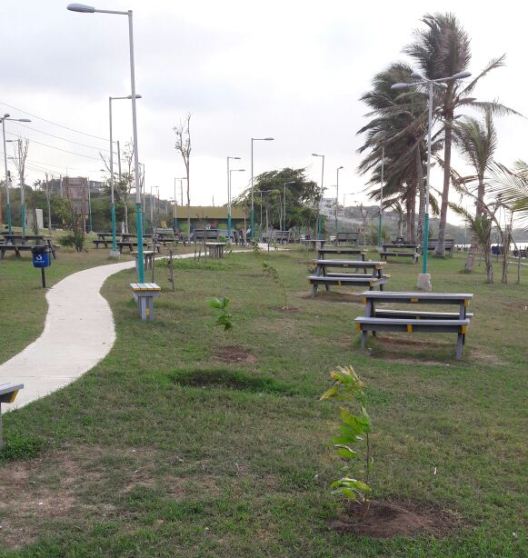 Con siembra de 140 árboles en el Parque Mirador El Cisne, C.R.A cerró actividades en el marco del día de la tierra. 