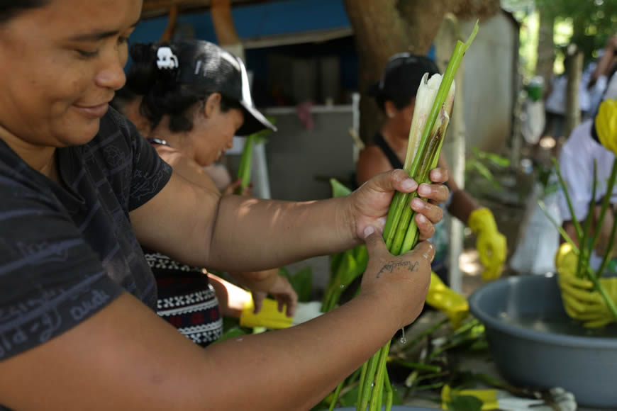 Con iniciativa de la C.R.A, pescadores convertirán la taruya en eco-productos. - Corporación Autónoma Regional del Atlántico | C.R.A - En el marco de la afectación presentada en el embalse El Guájaro por el exceso de taruya acumulada en este cuerpo de agua, la Corporación Autónoma Regional del Atlántico –C.R.A., en cumplimiento del compromiso adquirido con los pescadores del corregimiento de Aguada de Pablo y La Peña, avanza en la implementación de un programa de limpieza y aprovechamiento de la taruya, con acciones que buscan garantizar soluciones sostenibles a mediano y largo plazo.