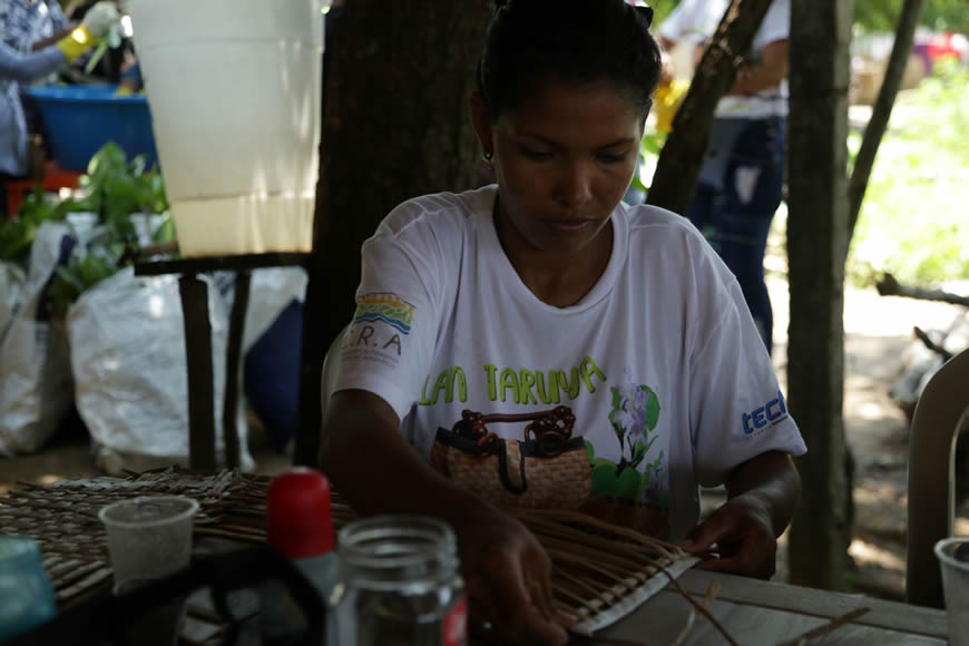 Con iniciativa de la C.R.A, pescadores convertirán la taruya en eco-productos. - Corporación Autónoma Regional del Atlántico | C.R.A - En el marco de la afectación presentada en el embalse El Guájaro por el exceso de taruya acumulada en este cuerpo de agua, la Corporación Autónoma Regional del Atlántico –C.R.A., en cumplimiento del compromiso adquirido con los pescadores del corregimiento de Aguada de Pablo y La Peña, avanza en la implementación de un programa de limpieza y aprovechamiento de la taruya, con acciones que buscan garantizar soluciones sostenibles a mediano y largo plazo.