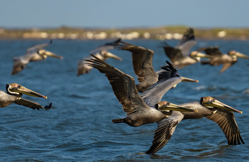 C.R.A. premia el talento atlanticense en concurso de video y fotografía 9 C.R.A. premia el talento atlanticense en concurso de video y fotografía - Corporación Autónoma Regional del Atlántico | C.R.A - La Corporación Autónoma Regional del Atlántico C.R.A., realizó este jueves, la premiación del concurso de video y fotografía "Atlántico Respira Ambiente 2023". Una estrategia para promover, entre los atlanticenses, la conciencia ambiental y la conexión entre los ecosistemas del departamento, así como resaltar la importancia de la Gestión Integral de Residuos Sólidos (GIRS) y las acciones de adaptación y mitigación al cambio climático.