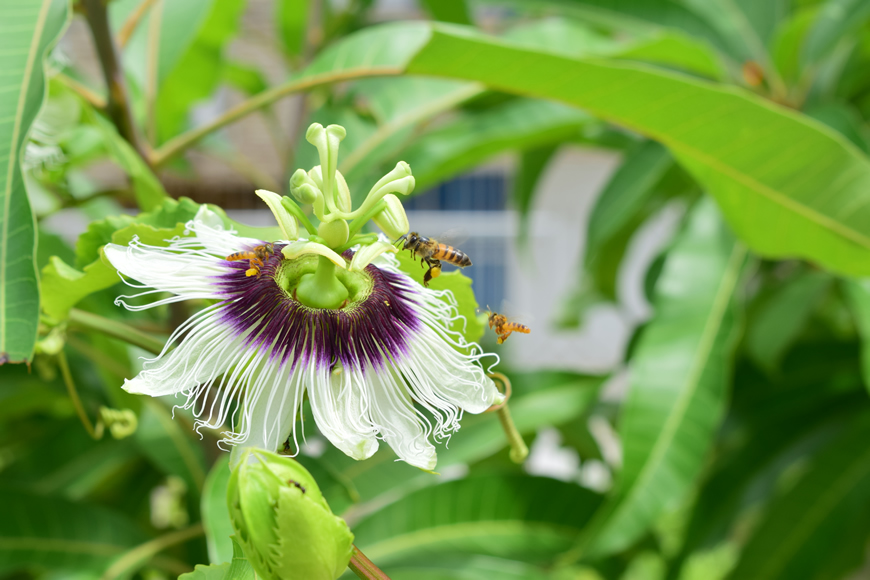 C.R.A. premia el talento atlanticense en concurso de video y fotografía 10 C.R.A. premia el talento atlanticense en concurso de video y fotografía - Corporación Autónoma Regional del Atlántico | C.R.A - La Corporación Autónoma Regional del Atlántico C.R.A., realizó este jueves, la premiación del concurso de video y fotografía "Atlántico Respira Ambiente 2023". Una estrategia para promover, entre los atlanticenses, la conciencia ambiental y la conexión entre los ecosistemas del departamento, así como resaltar la importancia de la Gestión Integral de Residuos Sólidos (GIRS) y las acciones de adaptación y mitigación al cambio climático.