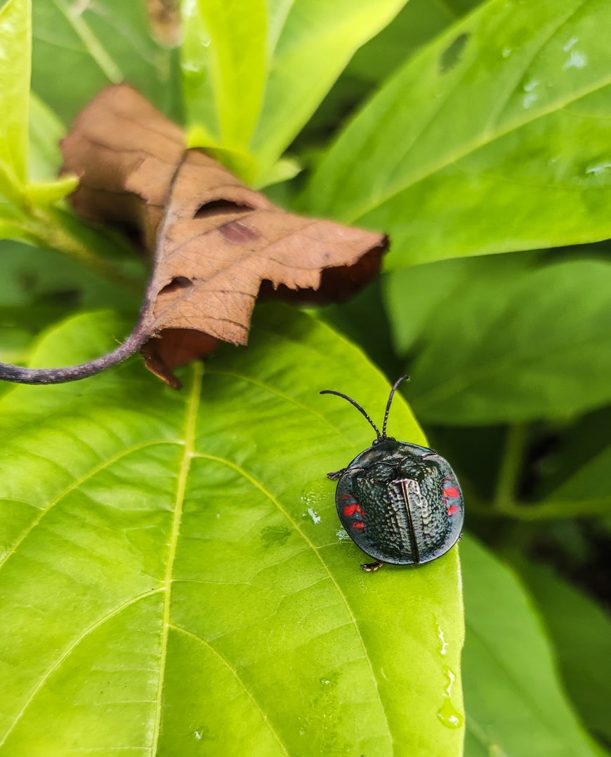 C.R.A. premia el talento atlanticense en concurso de video y fotografía 4 C.R.A. premia el talento atlanticense en concurso de video y fotografía - Corporación Autónoma Regional del Atlántico | C.R.A - La Corporación Autónoma Regional del Atlántico C.R.A., realizó este jueves, la premiación del concurso de video y fotografía "Atlántico Respira Ambiente 2023". Una estrategia para promover, entre los atlanticenses, la conciencia ambiental y la conexión entre los ecosistemas del departamento, así como resaltar la importancia de la Gestión Integral de Residuos Sólidos (GIRS) y las acciones de adaptación y mitigación al cambio climático.