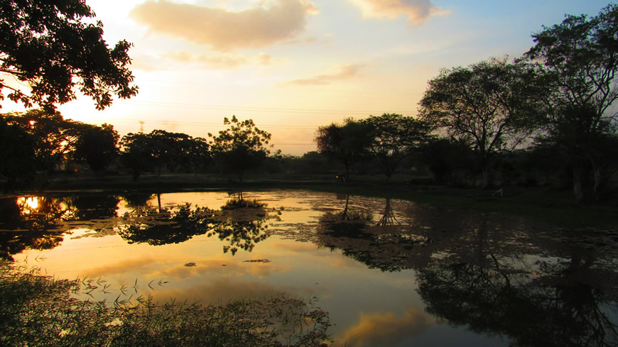 C.R.A. premia el talento atlanticense en concurso de video y fotografía 2 C.R.A. premia el talento atlanticense en concurso de video y fotografía - Corporación Autónoma Regional del Atlántico | C.R.A - La Corporación Autónoma Regional del Atlántico C.R.A., realizó este jueves, la premiación del concurso de video y fotografía "Atlántico Respira Ambiente 2023". Una estrategia para promover, entre los atlanticenses, la conciencia ambiental y la conexión entre los ecosistemas del departamento, así como resaltar la importancia de la Gestión Integral de Residuos Sólidos (GIRS) y las acciones de adaptación y mitigación al cambio climático.