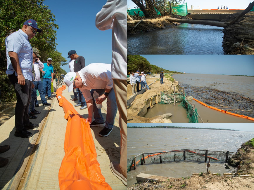 C.R.A. instaló barreras de contención de residuos para proteger la ciénaga de Mallorquín - Corporación Autónoma Regional del Atlántico | C.R.A - En un esfuerzo significativo por preservar la vitalidad del ecosistema de manglar en la ciénaga de Mallorquín, la Corporación Autónoma Regional del Atlántico –C.R.A. y Conservación Internacional Colombia, en el marco del Plan de Compensación de ARGOS, realizó la instalación de tres barreras flotantes en el Río Magdalena, las cuales están diseñadas para retener sólidos gruesos como tarulla y madera flotante, que han estado obstruyendo repetidamente los box-culvert y afectando el flujo de agua dulce desde el río hacia la ciénaga.