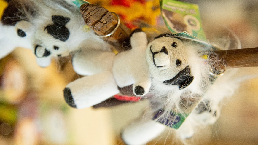 Negocios Verdes del Atlántico presentes en la COP16 - Corporación Autónoma Regional del Atlántico | C.R.A - Los Negocios Verdes del Atlántico, impulsados por la Corporación Autónoma Regional del Atlántico- C.R.A., y certificados por el Ministerio de Ambiente y Desarrollo Sostenible, tendrán un papel destacado en la COP16.