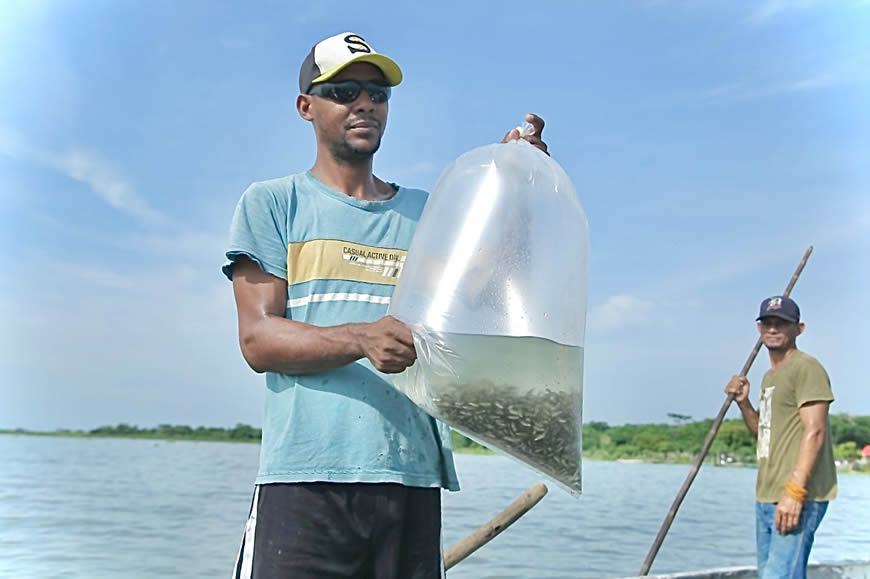 FAO otorga reconocimiento al ‘Plan + Pescao’ por su aporte a los sistemas alimentarios acuáticos sostenibles - Corporación Autónoma Regional del Atlántico | C.R.A -  