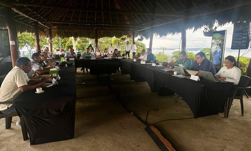 'El Cerro La Vieja', nueva área protegida del Atlántico, declarada por la C.R.A. - Corporación Autónoma Regional del Atlántico | C.R.A - El Consejo Directivo de la Corporación Autónoma Regional del Atlántico (C.R.A.) aprobó la declaratoria de El Cerro La Vieja, ubicado en el municipio de Piojó, como nueva área protegida del departamento del Atlántico, un ecosistema con una extensión de 1.347,37 hectáreas distribuidas en 74 predios que alberga una biodiversidad significativa y única, fundamental para la conservación del Bosque Seco Tropical (BsT). Además, se distingue por contar con la mayor elevación del Departamento, alcanzando los 514 metros sobre el nivel del mar.