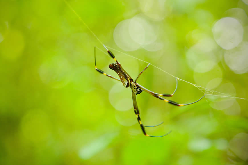 Fotografía y sostenibilidad se unen en la quinta edición de “Atlántico Respira Ambiente” 2 Fotografía y sostenibilidad se unen en la quinta edición de “Atlántico Respira Ambiente” - Corporación Autónoma Regional del Atlántico | C.R.A - Con el propósito de seguir fortaleciendo la conciencia ambiental a través del arte, la Corporación Autónoma Regional del Atlántico – C.R.A., en alianza con Alitic, celebra la quinta edición del concurso de fotografía “Atlántico Respira Ambiente 2025”, una iniciativa que año tras año invita a descubrir la riqueza ecológica y la diversidad de paisajes que hacen del Atlántico un territorio único en el Caribe colombiano.
