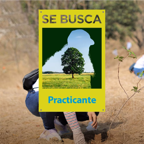 Ambientalistos - Corporación Autónoma Regional del Atlántico | C.R.A - Perfil requerido:Título profesional en disciplina académica del Núcleo Básico del Conocimiento - NBC en: Biología, Geología, Ingeniería Ambiental y afines.