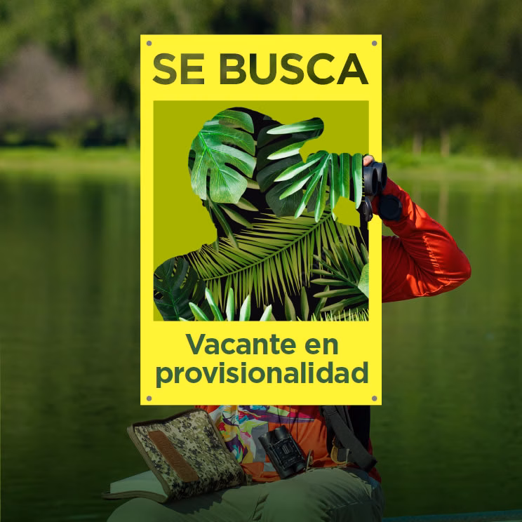 Ambientalistos - Corporación Autónoma Regional del Atlántico | C.R.A - Perfil requerido:Título profesional en disciplina académica del Núcleo Básico del Conocimiento - NBC en: Biología, Geología, Ingeniería Ambiental y afines.