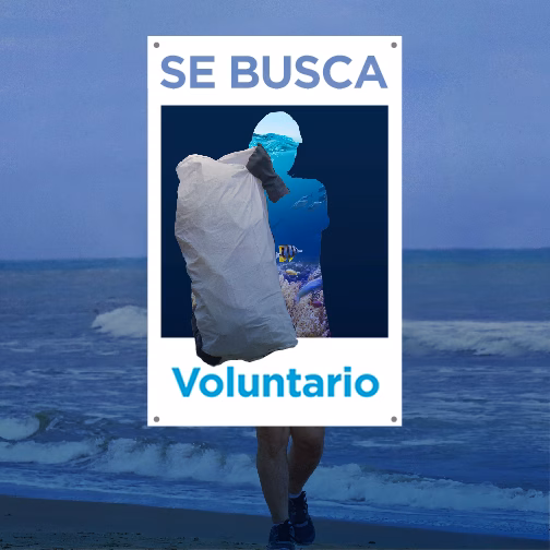 Ambientalistos - Corporación Autónoma Regional del Atlántico | C.R.A - Perfil requerido:Título profesional en disciplina académica del Núcleo Básico del Conocimiento - NBC en: Biología, Geología, Ingeniería Ambiental y afines.